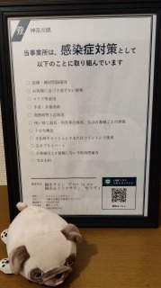 当店は感染症対策をしています